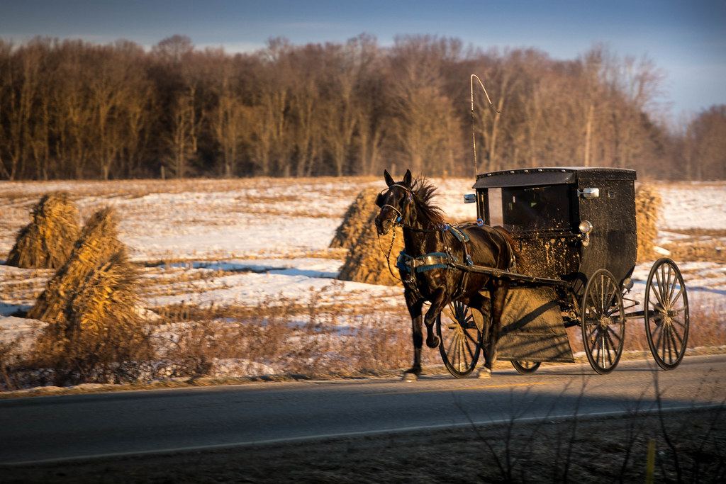 Amish horse and buggy on a winter road in Clare County, Michigan