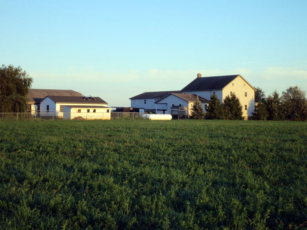 Amish farmland with white farm buildings