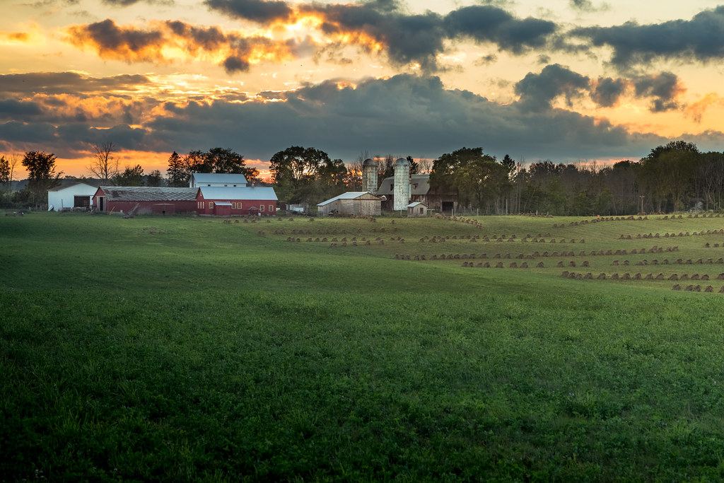 Hay field and farm buildings at sunset in Amish country, Clare County, Michigan